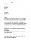 Laboratorio de Fluidos