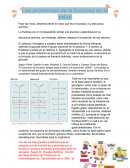 Los problemas de la fructosa en la salud