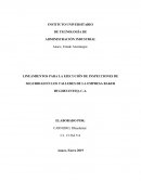 LINEAMIENTOS PARA LA EJECUCIÓN DE INSPECCIONES DE SEGURIDAD EN LOS TALLERES DE LA EMPRESA BAKER HUGHES INTEQ, C.A