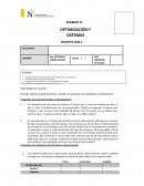 OPTIMIZACION Y SIMULACION