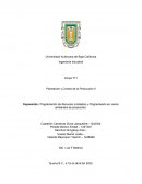Programación de Recursos Limitados y Programación en varios ambientes de producción