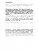 Mercado de caña de azucar