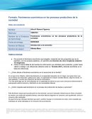 Fenómenos económicos en los procesos productivos de la sociedad