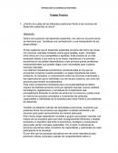 ¿Dentro de cuales de las diferentes posiciones frente a las nociones del desarrollo sostenible se ubica?
