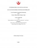 Caso Hackers golpearon a Norsk Hydro con el ransomware “LockerGoga”