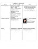 Ley federal de cinematografía