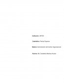 Administracion del cambio. Etapas de nacimiento de las organizaciones