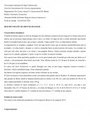 RESUMEN DELFÍN DE DIENTES RUGOSOS