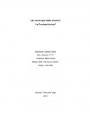 Las voces que nadie escucha, la crueldad animal