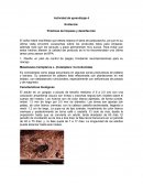 Evidencia: Prácticas de limpieza y desinfección