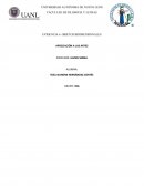 Objetos bidimensionales