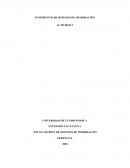 FUNDMENTOS DE SISTEMAS DE INFORMACIÓN. ACTIVIDAD 1