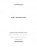 HERRAMIENTAS DE AUDITORIA EN SALUD