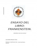 Ensayo Frankenstein