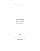 PLAN DE MEJORAMIENTO AMBIENTAL