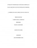 LA IMPORTANCIA DE LOS PROYECTOS EN EL SIGLO XXI