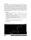 Informe Trabajo Final de Vias de Teoria