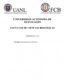 Evolución de la astronomia