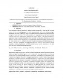 Laboratorio de química orgánica Alcoholes