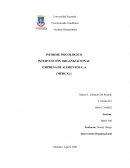 Informe psicologico intervencion organizacional