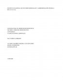 Actividad Las relaciones laborales