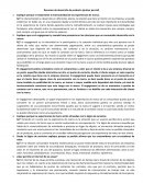 Resumen de desarrollo de producto (primer parcial)