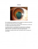 Patologías congénitas