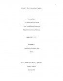 Constancia y esfuerzo es voluntad sinónimo de un sueño realizado