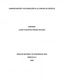 Administración y recuperación de la cartera de créditos
