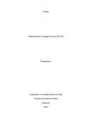 Articulo de Opinion auditoria