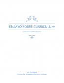 Curriculum y calidad educativa