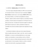 CASO PRACTICO MISCELANEA