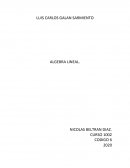 Algebra lineal