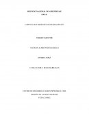 BANCO DE DATOS Y SISTEMAS DE INFORMACION RH