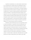 Agroindustria. La producción agrícola en América Latina y el Caribe