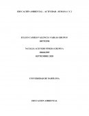 EDUCACIÓN AMBIENTAL - ACTIVIDAD - SEMANA 1 Y 2