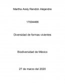 Diversidad de formas vivientes Biodiversidad de México