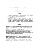 Ejemplos de clasificación de las organizaciones