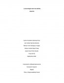 La tecnología entre los adultos mayores