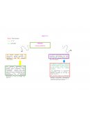 Casos practicos financiera