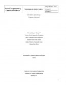 Programa salud ocupacional ambiental