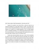 Caribe, amigos e ideas emprendedoras. ¿Qué podría salir mal?