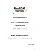 LICENCIATURA EN DERECHO. ACTOS Y SOCIEDADES MERCANTILES