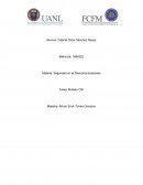 Seguridad en la Telecomunicaciones Tarea: Modelo OSI