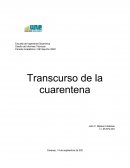 Transcurso de la cuarentena
