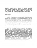 Derecho procesal constitucional