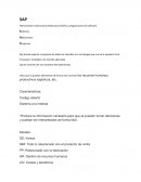 SAP Herramienta multinacional dedicada al diseño y programación de software