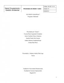 Programa salud ocupacional ambiental. Página 1