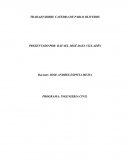 Programa: ingenieria civil