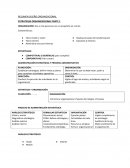 RESUMEN DISEÑO ORGANIZACIONAL